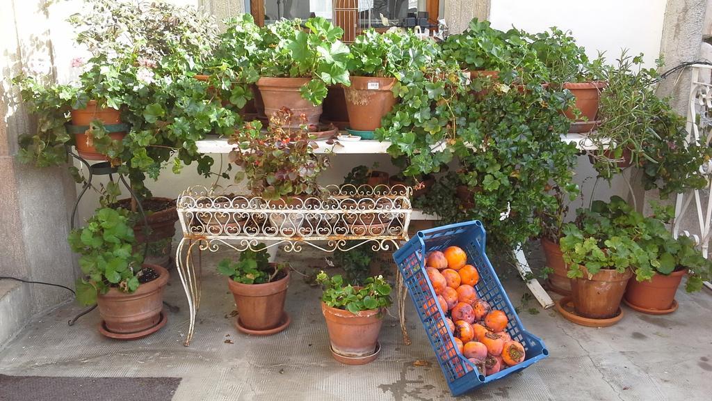 Villa Maria Bed & Breakfast, Corridonia, Marche 외부 사진