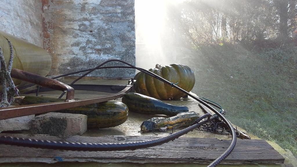 Villa Maria Bed & Breakfast, Corridonia, Marche 외부 사진